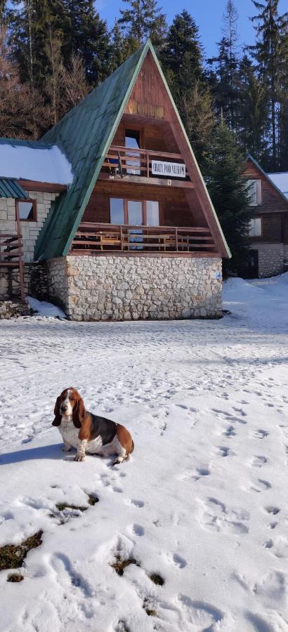 Chata Pod Vlekom Dedinky Exteriör bild